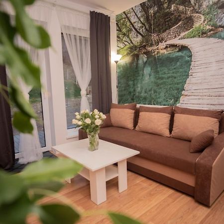 Apartamenty Goszowita Stronie Śląskie エクステリア 写真