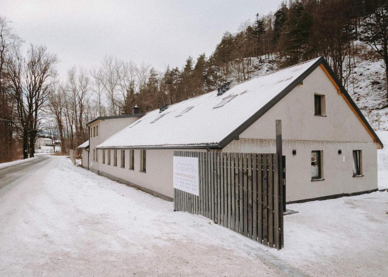 Apartamenty Goszowita Stronie Śląskie エクステリア 写真