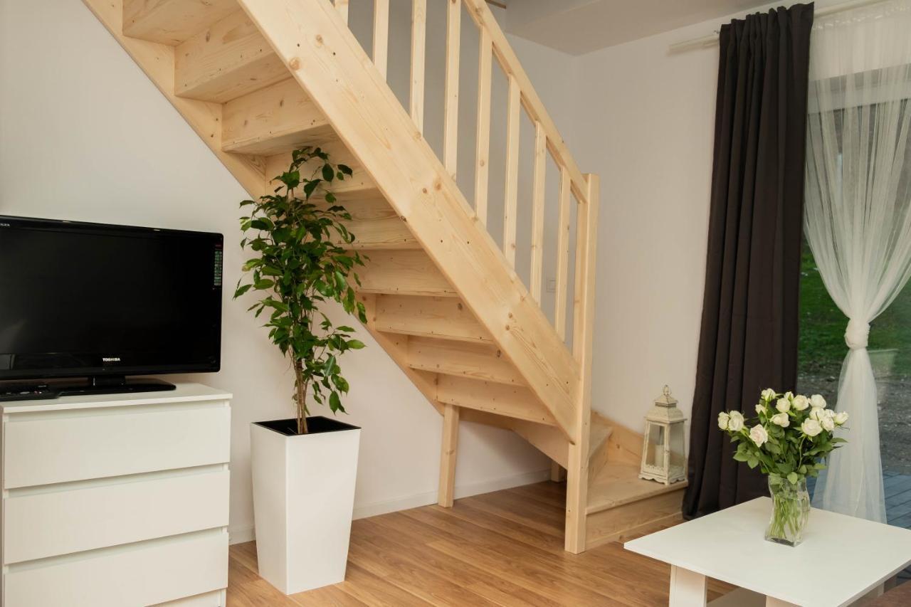 Apartamenty Goszowita Stronie Śląskie エクステリア 写真