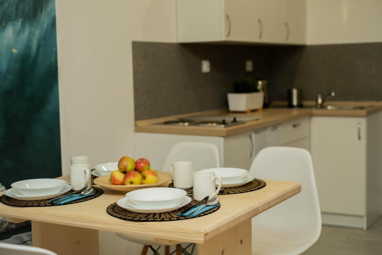 Apartamenty Goszowita Stronie Śląskie エクステリア 写真
