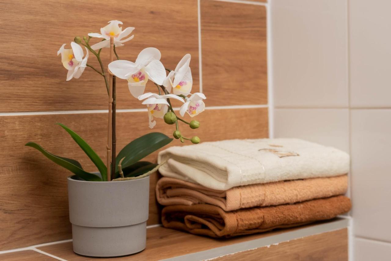 Apartamenty Goszowita Stronie Śląskie エクステリア 写真