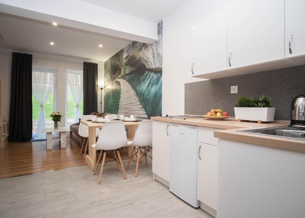 Apartamenty Goszowita Stronie Śląskie エクステリア 写真